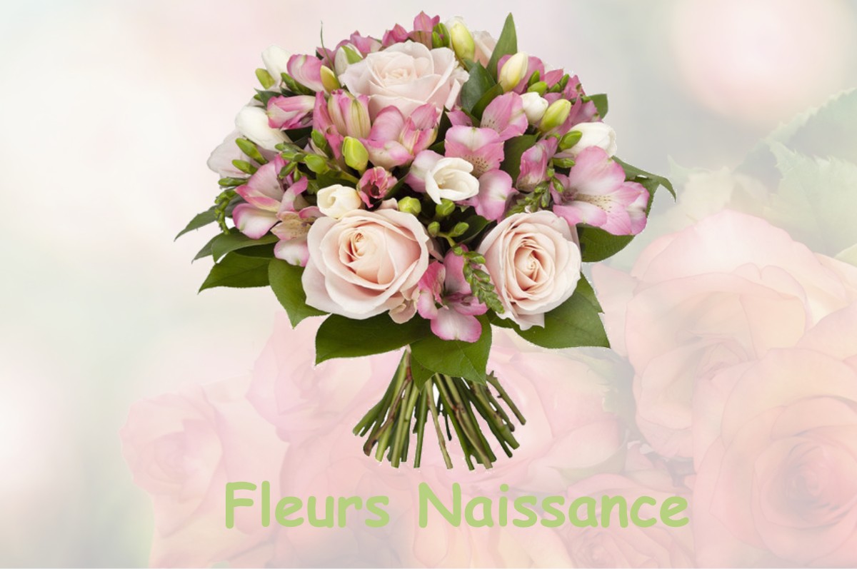 fleurs naissance SAINT-MARTIN-AUX-CHARTRAINS
